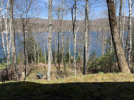 Enjoy this great lake by the water's edge surrounded by forest.